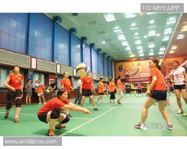 杭州排球队心理素质分析与提升策略探讨