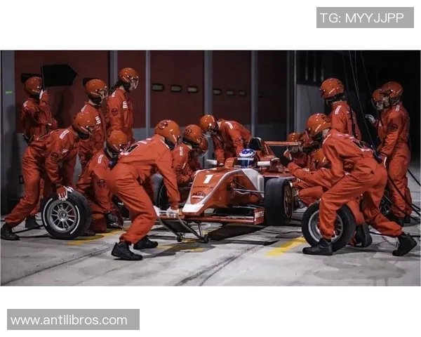 杭州排球队速度之美大满贯点评展现竞技魅力与团队协作