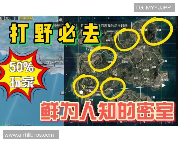 专访杨伟：解密和平精英成功之道