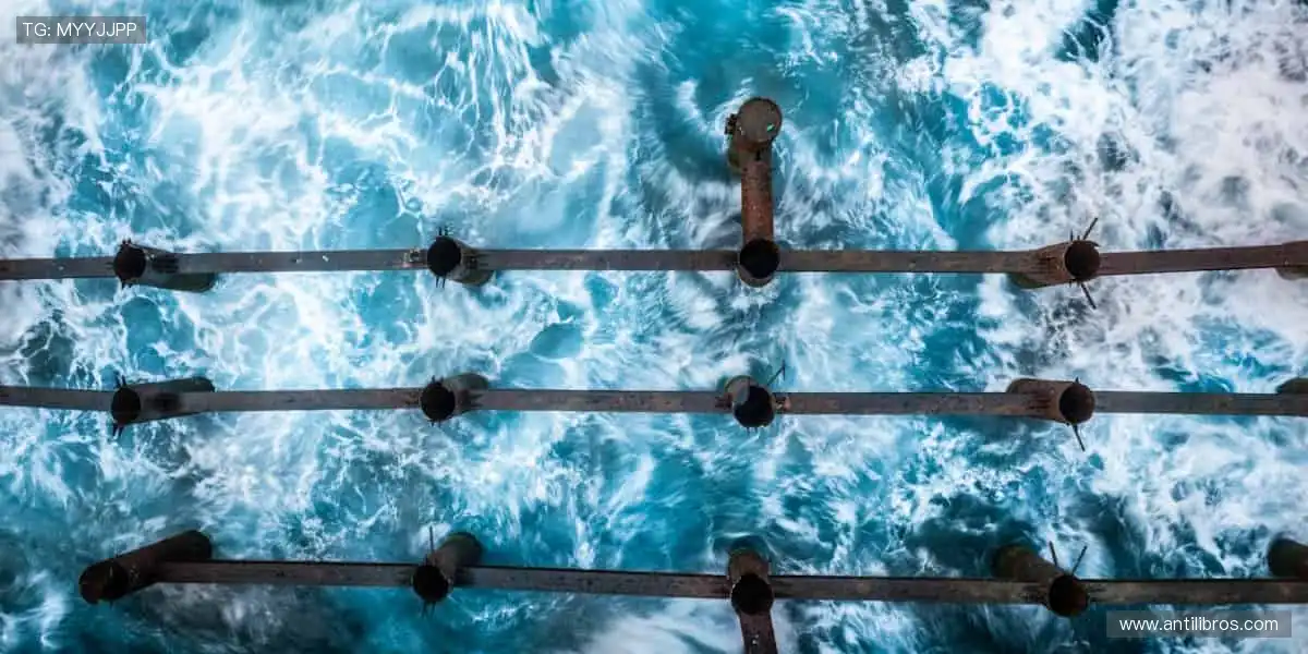 📺 高清直播,实时互动!不错过每一个心跳瞬间!