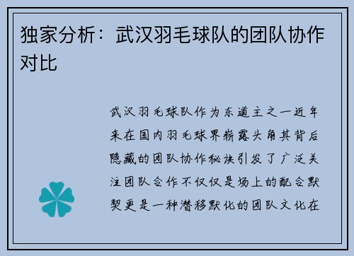 独家分析：武汉羽毛球队的团队协作对比