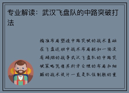 专业解读：武汉飞盘队的中路突破打法