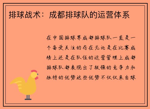 排球战术：成都排球队的运营体系