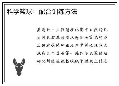 科学篮球：配合训练方法